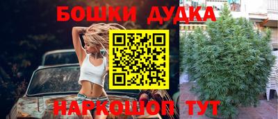 ПСИЛОЦИБИНОВЫЕ ГРИБЫ Кулебаки
