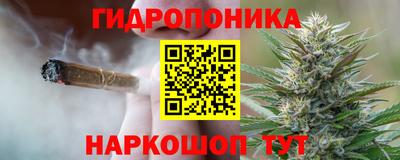 дмт Кунгур