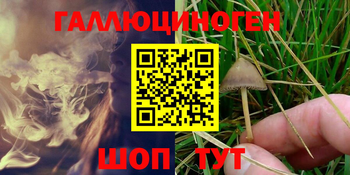 Дивногорск  Галлюциногенные грибы мухоморы  Вход с VPN 